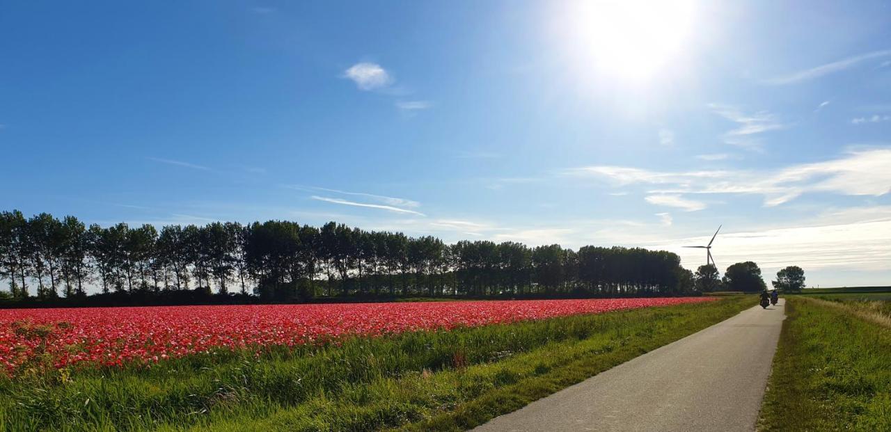 L'Ancora Lejlighed Sint Annaland Eksteriør billede